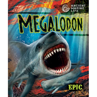 Megalodon - Library Binding