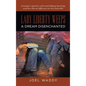 Lady Liberty Weeps: A Dream Disenchanted - Hardcover