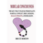 Modular Consciousness - Paperback