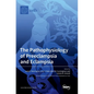 The Pathophysiology of Preeclampsia and Eclampsia - Hardcover