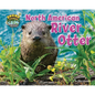 North American River Otter - Paperback