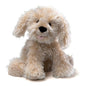 Designer Pups Karina Labradoodle