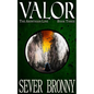 Valor - Paperback