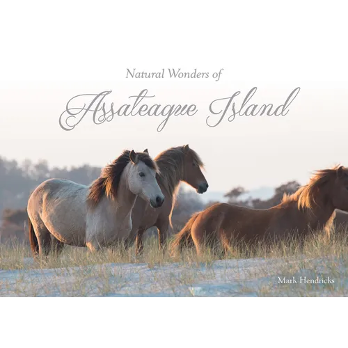 Natural Wonders of Assateague Island - Hardcover