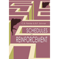 Schedules of Reinforcement - Paperback