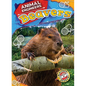Beavers - Library Binding
