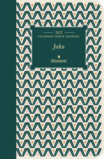 NLT Filament Bible Journal: John (Softcover) - Paperback