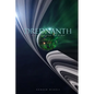 Drednanth: A Tale of the Final Fall of Man - Paperback