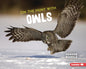 On the Hunt with Owls - Library Binding
