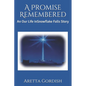 A Promise Remembered: An Our Life in Snowflake Falls Story - Paperback