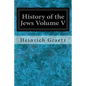 History of the Jews Volume V - Paperback
