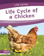 Life Cycle of a Chicken - Paperback