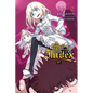 A Certain Magical Index Nt, Vol. 2 (Light Novel): Volume 2 - Paperback