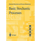 Basic Stochastic Processes: A Course Through Exercises - Paperback
