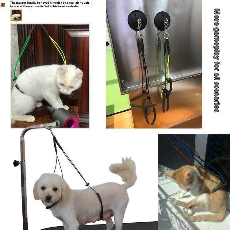 Pet Bath Fixed Rope Steel Wire Beauty Rope Sucker