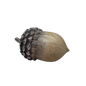 Resin Textured Harvest Acorn - Medium