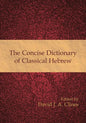 The Concise Dictionary of Classical Hebrew - Paperback