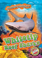 Whitetip Reef Sharks - Library Binding