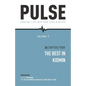 Pulse II: Pumping Life Into Your Kids Ministry - Paperback