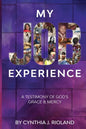 My Job Experience: A Testimony of God's Grace & Mercy - Paperback
