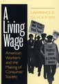A Living Wage: Notes of an Outsider in Nepal - Paperback