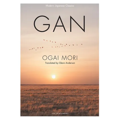 Gan - Paperback