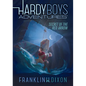 Secret of the Red Arrow: #1 - Library Binding