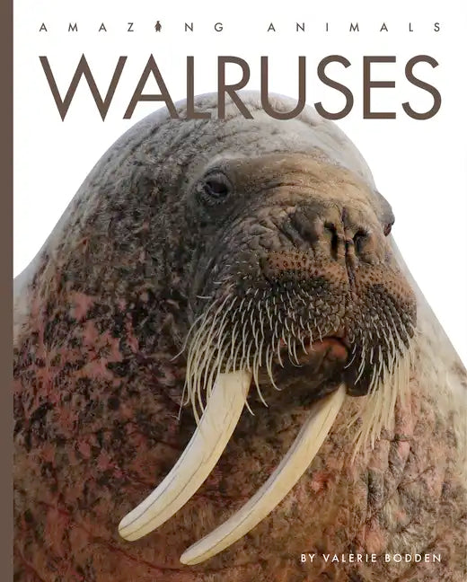 Walruses - Paperback
