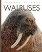 Walruses - Paperback