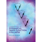 Introduction to Dynamical Wave Function Collapse: Realism in Quantum Physics: Volume 1 - Hardcover