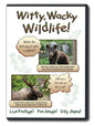 Witty, Wacky Wildlife DVD