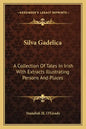 Silva Gadelica: A Collection of Tales in Irish with Extracts Illustrating Persons and Places - Paperback