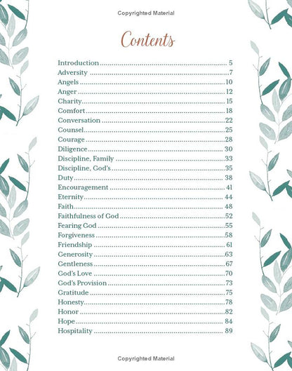 Beautiful Wisdom Bible Promise Book