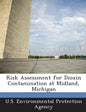Risk Assessment for Dioxin Contamination at Midland, Michigan - Paperback