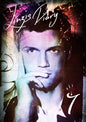 Linzi's Diary 7 - Paperback
