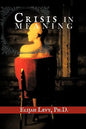 Crisis in Meaning - Paperback