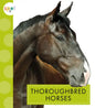 Thoroughbred Horses - Paperback