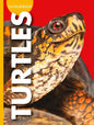Curious about Turtles - Paperback