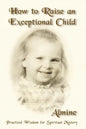 How to Raise an Exceptional Child - Paperback