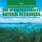 The Amazon Rainforest: One of Earth's Largest Natural Resources Children's Books about Forests Grade 4 Children's Environment & Ecology Books - Paperback