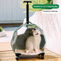 Pet Trolley Portable Cat Luggage Transparent Large Dog Suitcase Trolley Space Capsule