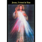 Jesus, I trust in You - Paperback