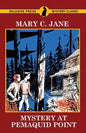 Mystery at Pemaquid Point - Paperback