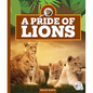 A Pride of Lions - Library Binding