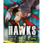 Hawks: Birds of Prey - Library Binding