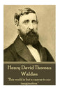 Henry David Thoreau - Walden: "It's not what you look at that matters, it's what you see." - Paperback
