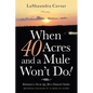 When 40 Acres and a Mule Won't Do!: Retirement Is Not an Age, but a Financial Number - Paperback