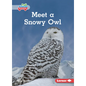 Meet a Snowy Owl - Paperback