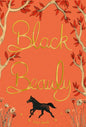 Black Beauty - Hardcover