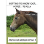 Getting To Know Your Horse....Really - Armchair Workshop No.4 - Paperback